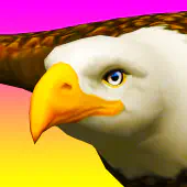 Eagle Ride Unblocked Game