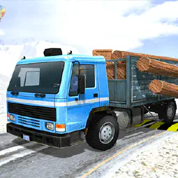 Indian Truck Simulator 3D